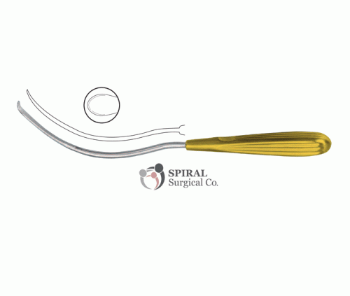 Arcus-Marginalis-Dissector-34.03.24 Arcus Marginalis